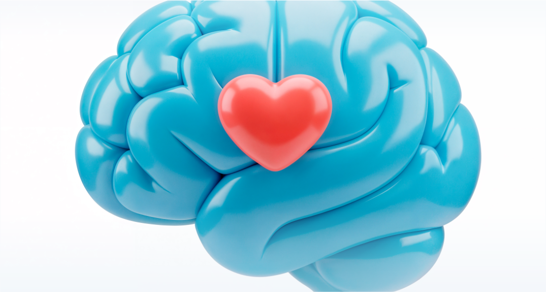 Cocaína: danos no coração e no cérebro